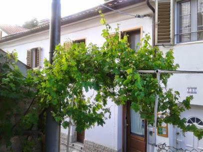 B&B Al Ferdinandeo Trieste Extérieur photo